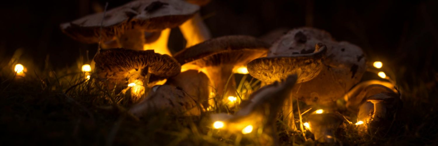 Die wildesten Ausritte von Mutter Natur:  Entlarvung der Mythen der Natur und Enthüllung ihrer Tücken