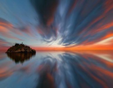 Nature's Hidden Talents:  Busting Myths & Unveiling the Unexpected