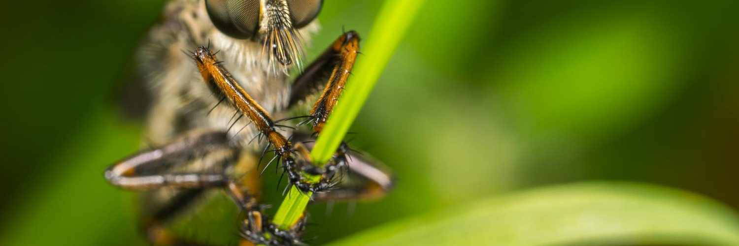 Beyond the Buzz:  Unexpected Wonders of Science and Tech