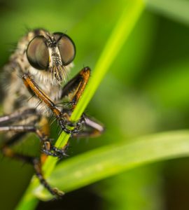 Beyond the Buzz:  Unexpected Wonders of Science and Tech