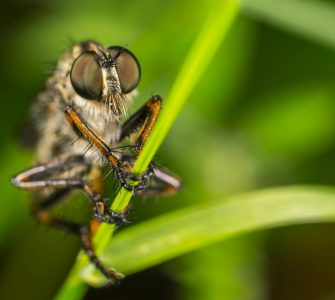 Beyond the Buzz:  Unexpected Wonders of Science and Tech