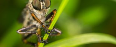 Beyond the Buzz:  Unexpected Wonders of Science and Tech