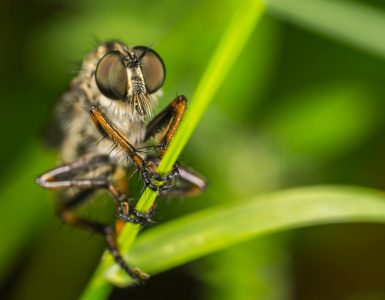 Beyond the Buzz:  Unexpected Wonders of Science and Tech