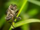 Beyond the Buzz:  Unexpected Wonders of Science and Tech