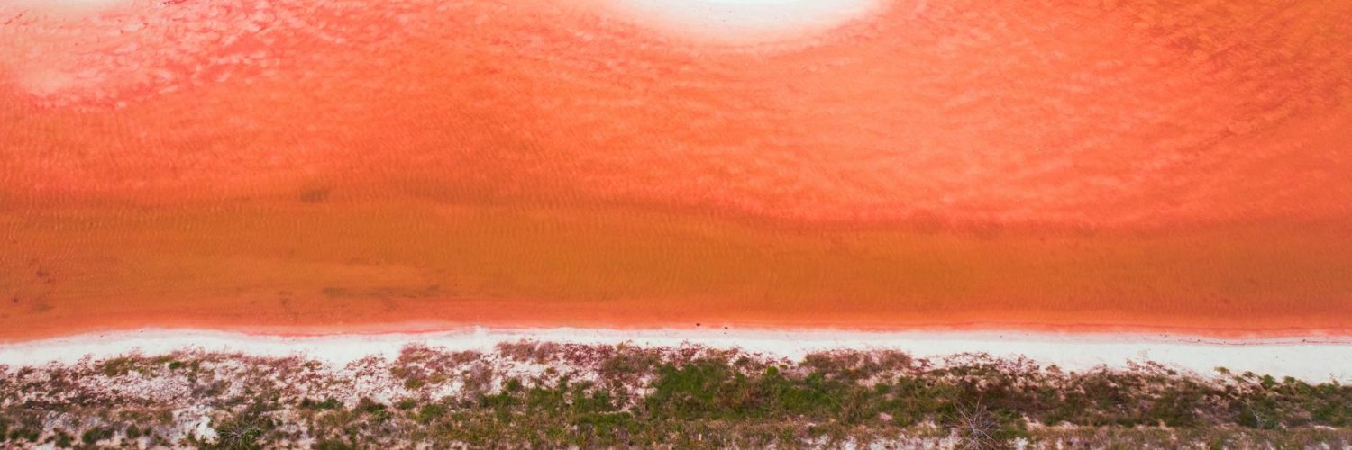Beyond the Canvas and the Screen: Unexpected Connections in Entertainment and Art
