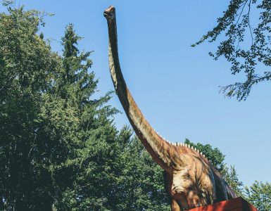 Les chemins de traverse de l'histoire : Tournants inattendus et empreintes oubliées