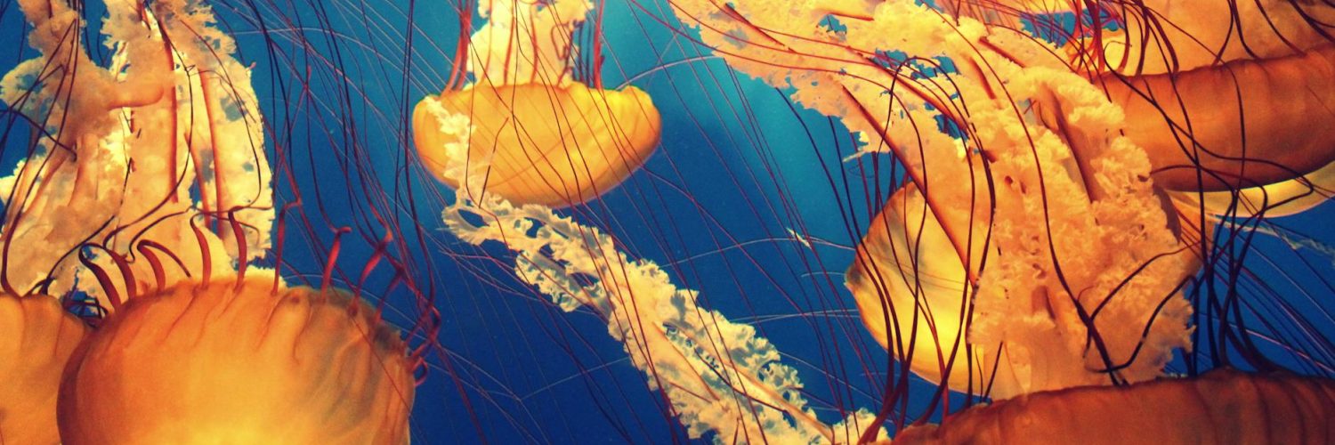 Nature's Unexpected Perks:  Mind-Blowing Facts That'll Make You Reconsider Everything