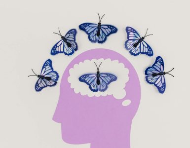 Die Tücken des Geistes: Die Alltagspsychologie von dir und mir auspacken