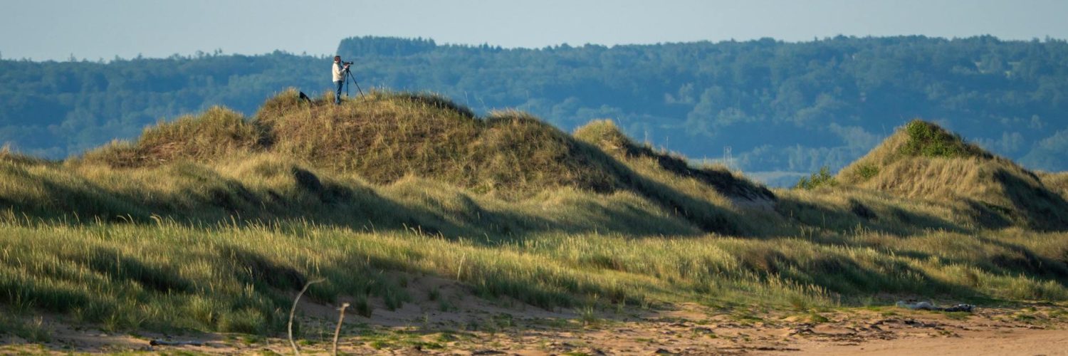 Les étonnantes anomalies de la nature :  Un retournement de situation par rapport à ce que nous croyons savoir