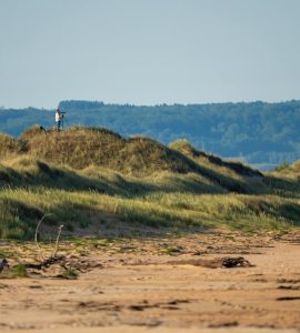 Die verblüffenden Anomalien der Natur:  Das Drehbuch für das, was wir zu wissen glauben