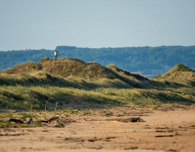 Les étonnantes anomalies de la nature :  Un retournement de situation par rapport à ce que nous croyons savoir
