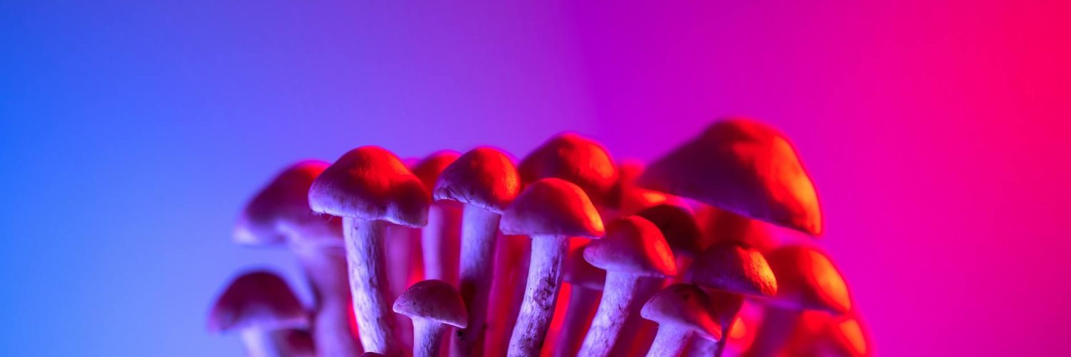 Nature's Unexpected Sideshow:  A Wild Ride Through Surprising Truths