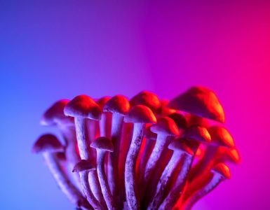 Nature's Unexpected Sideshow:  A Wild Ride Through Surprising Truths