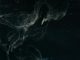 The Mind's Hidden Playground: Unexpected Twists in Human Behavior