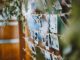 The Unexpected Rhythms of Your Ordinary Day: A Fresh Look at Everyday Life