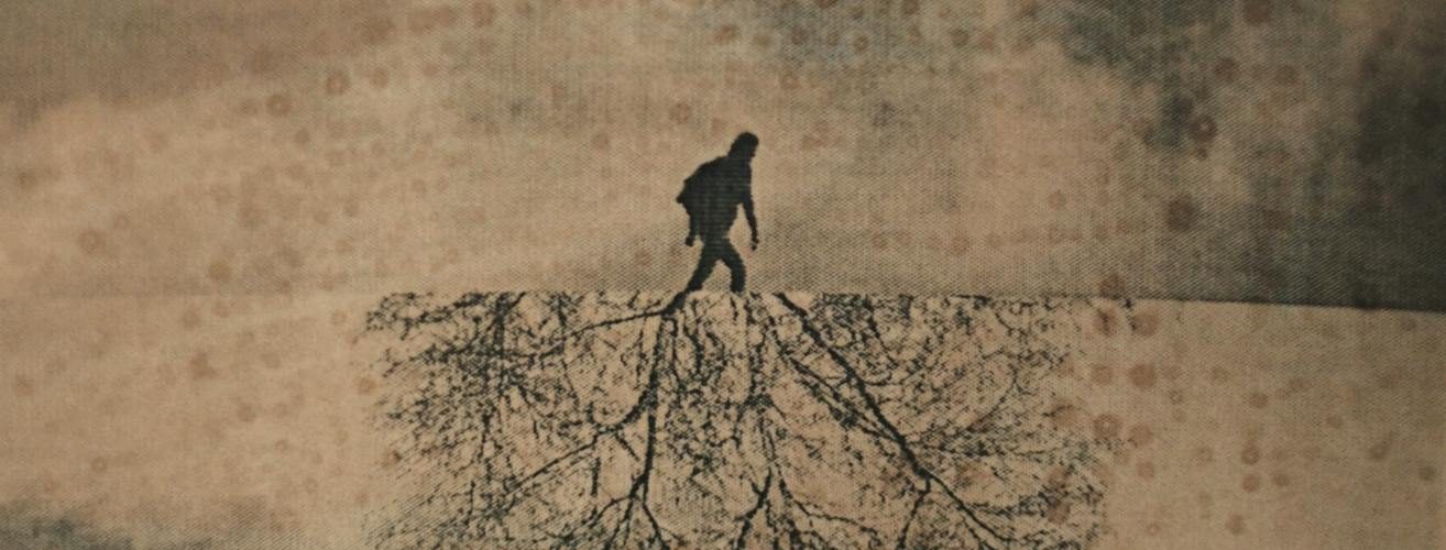 The Unexpected Science of Ordinary: Unraveling the Hidden Logic of Daily Life