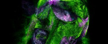 Beyond the Obvious: Unexpected Wonders of Science and Technology