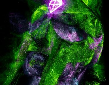 Beyond the Obvious: Unexpected Wonders of Science and Technology