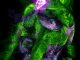 Beyond the Obvious: Unexpected Wonders of Science and Technology