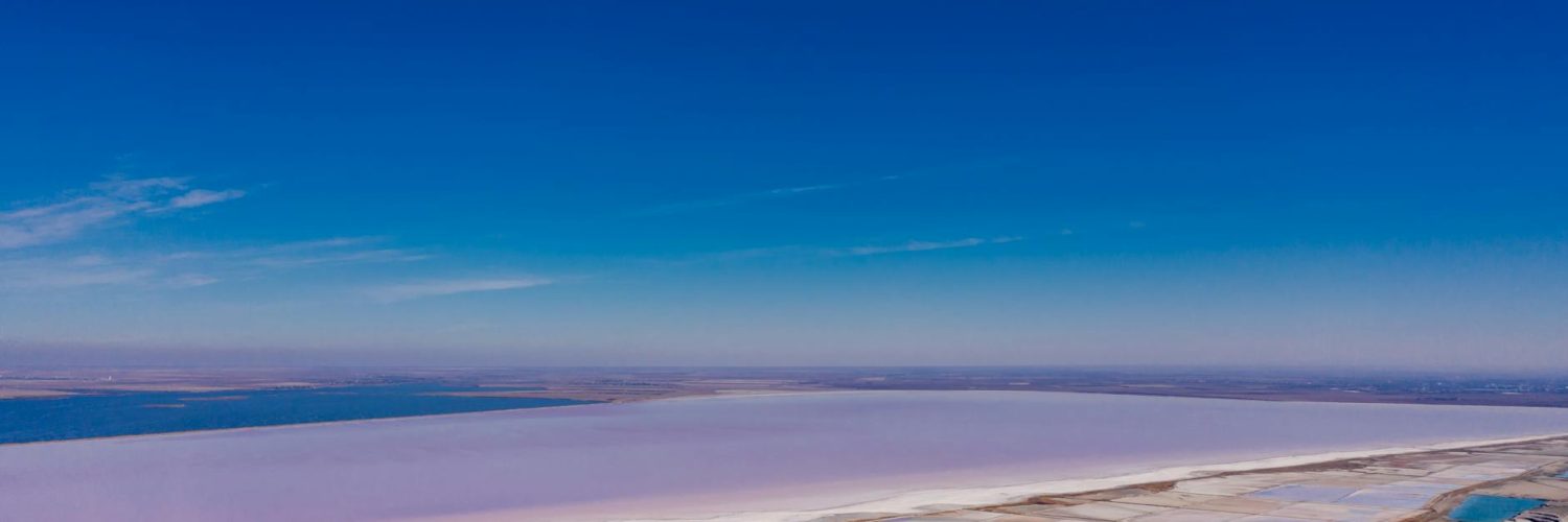 Mother Nature's Secret Life:  Mind-Blowing Facts That'll Make You Say "Whoa!"