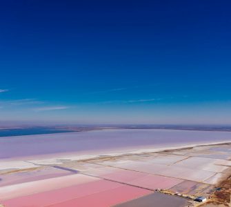 Mother Nature's Secret Life:  Mind-Blowing Facts That'll Make You Say "Whoa!"