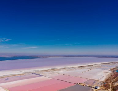 Mother Nature's Secret Life:  Mind-Blowing Facts That'll Make You Say "Whoa!"