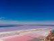 Mother Nature's Secret Life:  Mind-Blowing Facts That'll Make You Say "Whoa!"