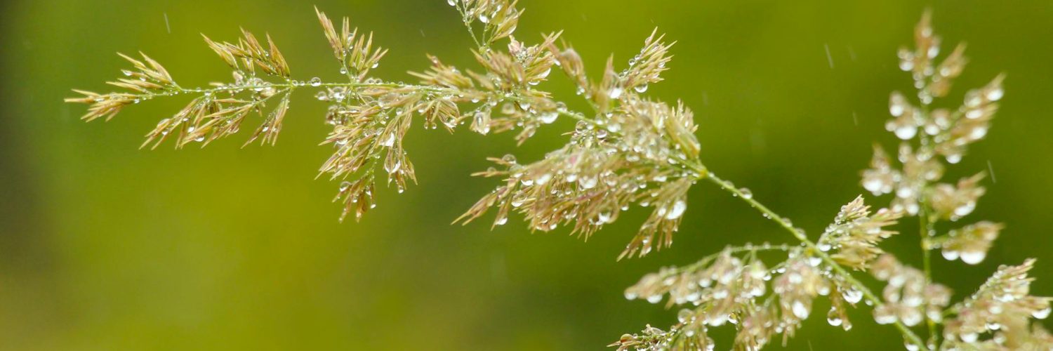 Nature's Got Jokes:  Unexpected Truths from the Wild Kingdom