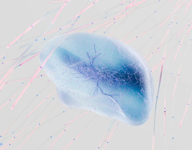 Science & Tech's Secret Sauce:  Unexpected Bites of Wonder