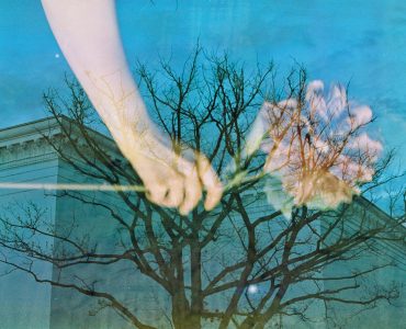 Hidden Harmonies: Unexpected Connections in Entertainment and Art