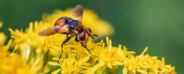 Sideshow of Science: Unexpected Twists on Everyday Wonders