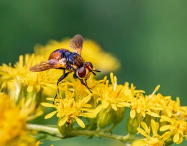 Sideshow of Science: Unexpected Twists on Everyday Wonders