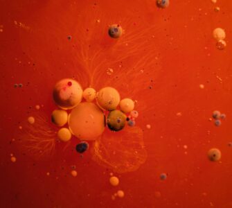 Beyond the Textbook:  Unexpected Wonders of the Scientific Universe