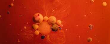 Beyond the Textbook:  Unexpected Wonders of the Scientific Universe