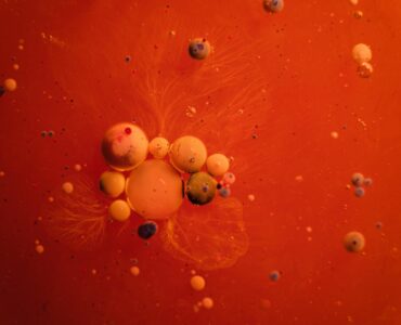Beyond the Textbook:  Unexpected Wonders of the Scientific Universe