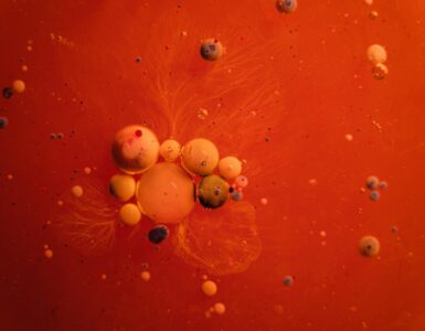 Beyond the Textbook:  Unexpected Wonders of the Scientific Universe