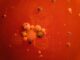 Beyond the Textbook:  Unexpected Wonders of the Scientific Universe