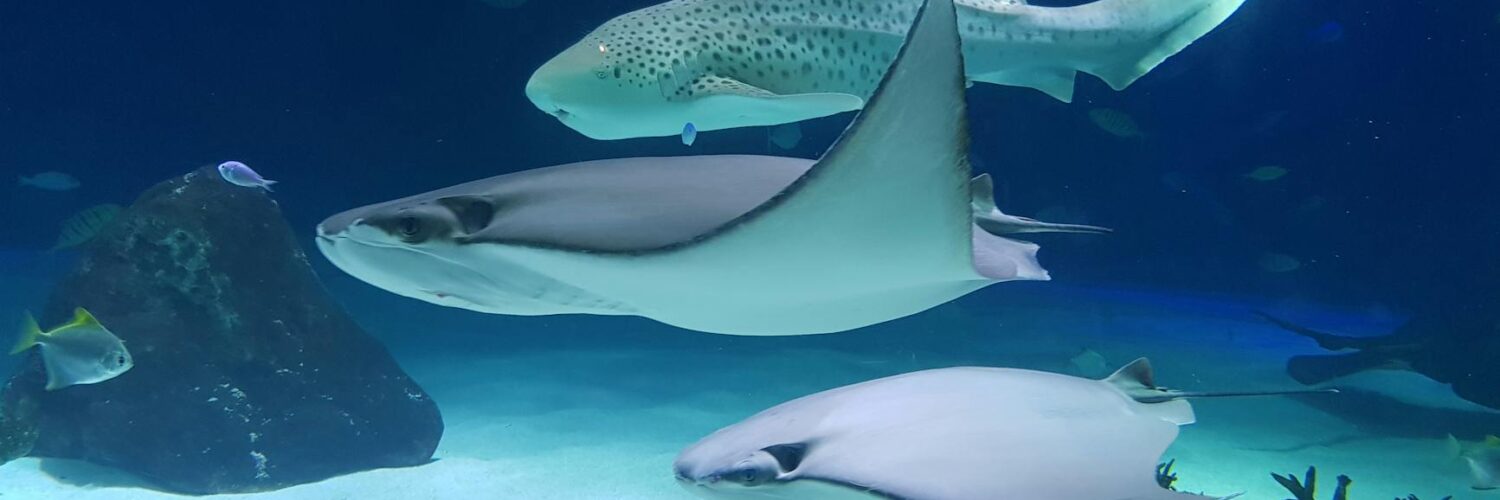 Earth's Eccentric Opera: Unearthing Nature's Quirkiest Wonders