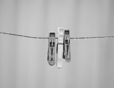 The Secret Life of Your Stuff: Unexpected Facts About Everyday Objects