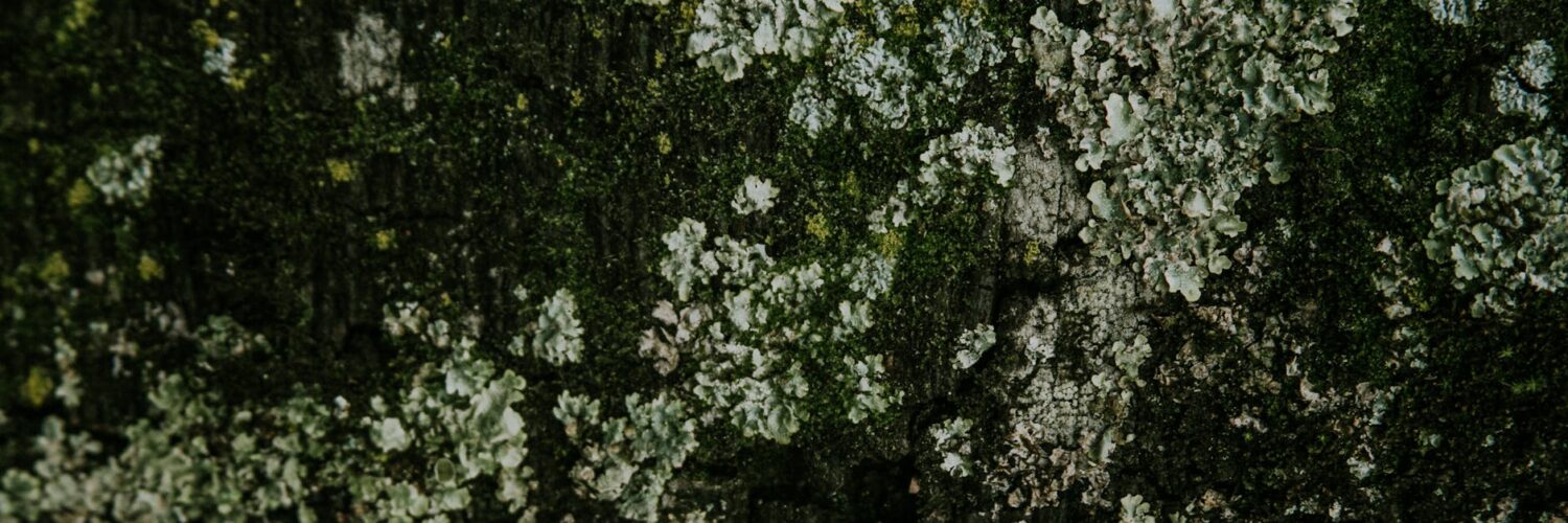 Nature's Wild Side: What You Think You Know Might Be Wrong