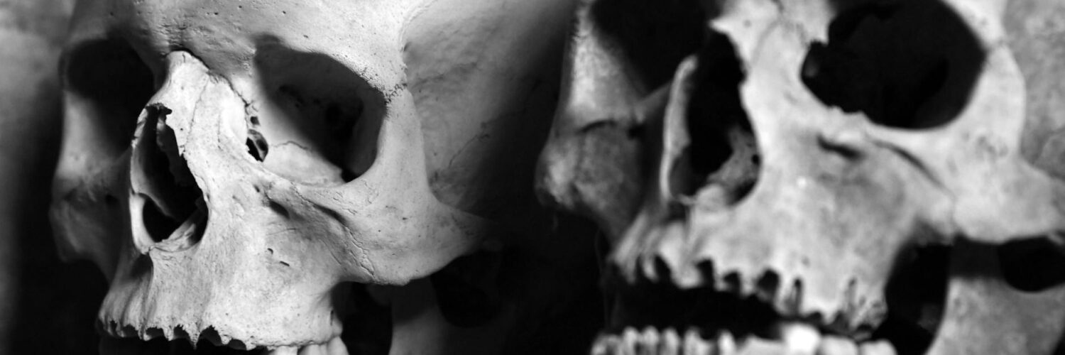 Pop Culture Secrets: Things You Might Be Missing in Movies, Music, and Art