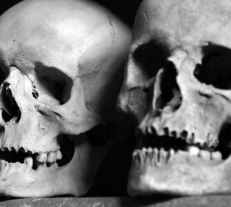 Pop Culture Secrets: Things You Might Be Missing in Movies, Music, and Art