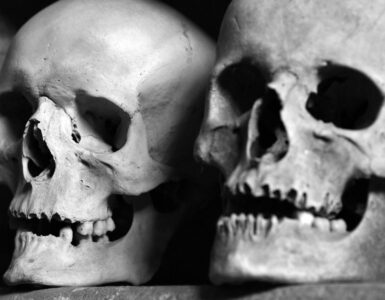 Pop Culture Secrets: Things You Might Be Missing in Movies, Music, and Art