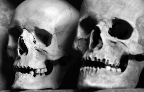 Pop Culture Secrets: Things You Might Be Missing in Movies, Music, and Art