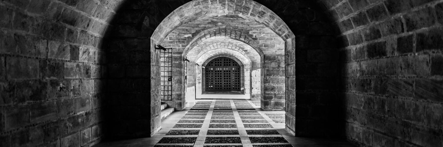 Nature's Quirky Surprises: Stuff You Thought You Knew, But Didn't!