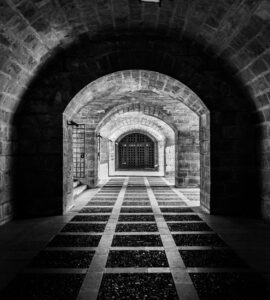 Nature's Quirky Surprises: Stuff You Thought You Knew, But Didn't!