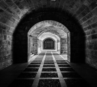 Nature's Quirky Surprises: Stuff You Thought You Knew, But Didn't!