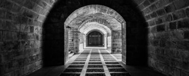 Nature's Quirky Surprises: Stuff You Thought You Knew, But Didn't!