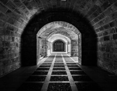 Nature's Quirky Surprises: Stuff You Thought You Knew, But Didn't!