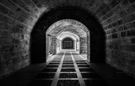 Nature's Quirky Surprises: Stuff You Thought You Knew, But Didn't!